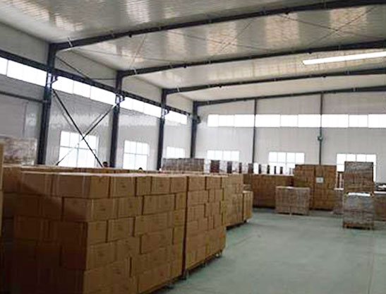 Shipment case