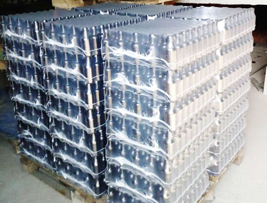 Shipment case